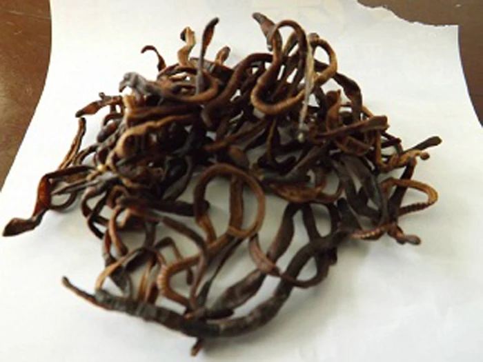 Wholesale hot sell high protein nourishing dried earthworms for animal food feed pet food