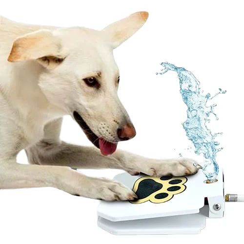 Customized stainless steel tap water dispenser for cats and dogs intelligent pet water dispenser for small animals
