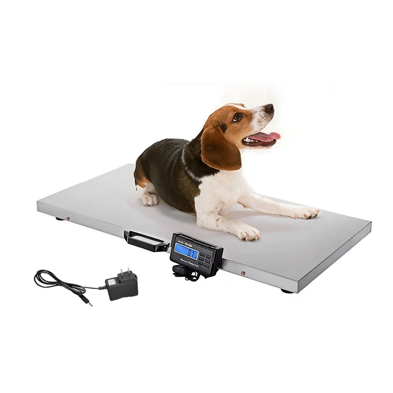 Household Stainless Steel Platform Scale Express Postal Livestock Scale 500kg Weighing Digital Pet Scale