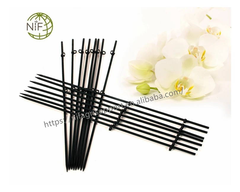 Factory manufacture various split bamboo plant support ring garden stick with clips for orchid