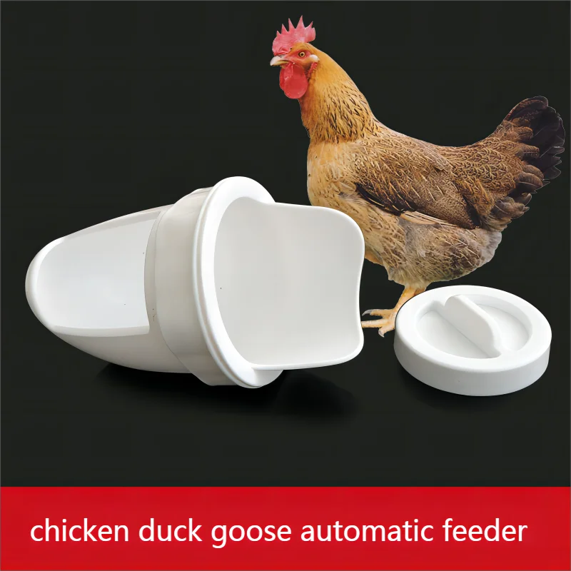 Automatic Poultry Feeder Ports Chicken Feeder Kit chicken feeder and drinker