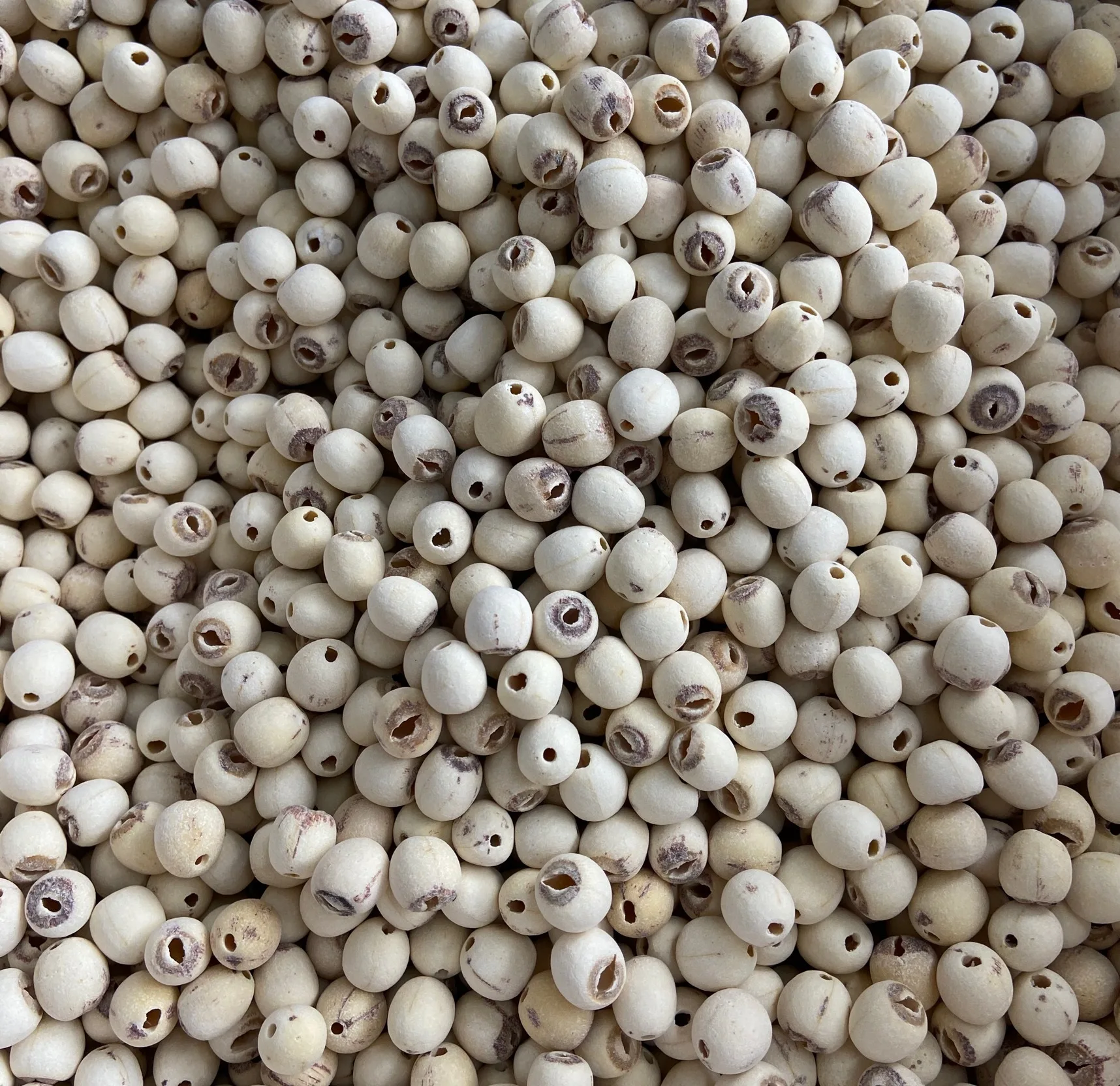 YINING Direct Wholesale Price Lotus Seed for Cooking Lian Zi