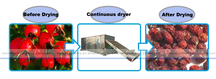 Industrial Onion Agricultural Dryer Machine Rosehip Dehydrator