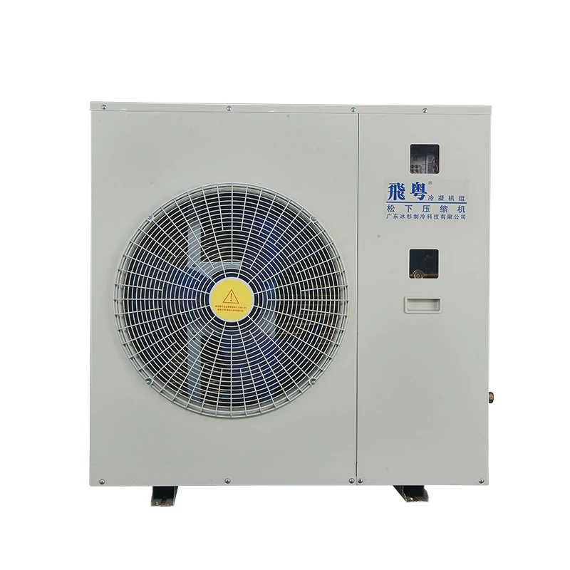 High pressure strong Solar cold storage equipment Powered condensing unit for cold room storage