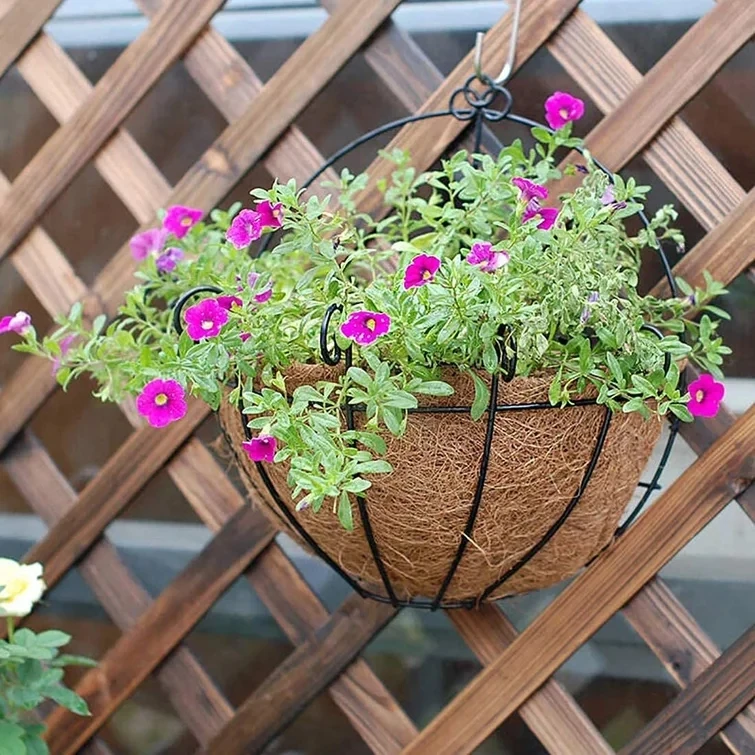 Home Garden Decoration Planting Container Hanging Flower Basket Rattan Basket Plants Stand Coco Liner Hanging Plant Basket