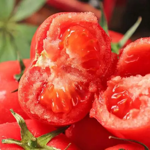 High Quality Fresh Vegetables tomatoes  From China Sweet tomatoes