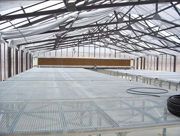 Low price Arches Tunnel Poly Film Green House for Agriculture Farming
