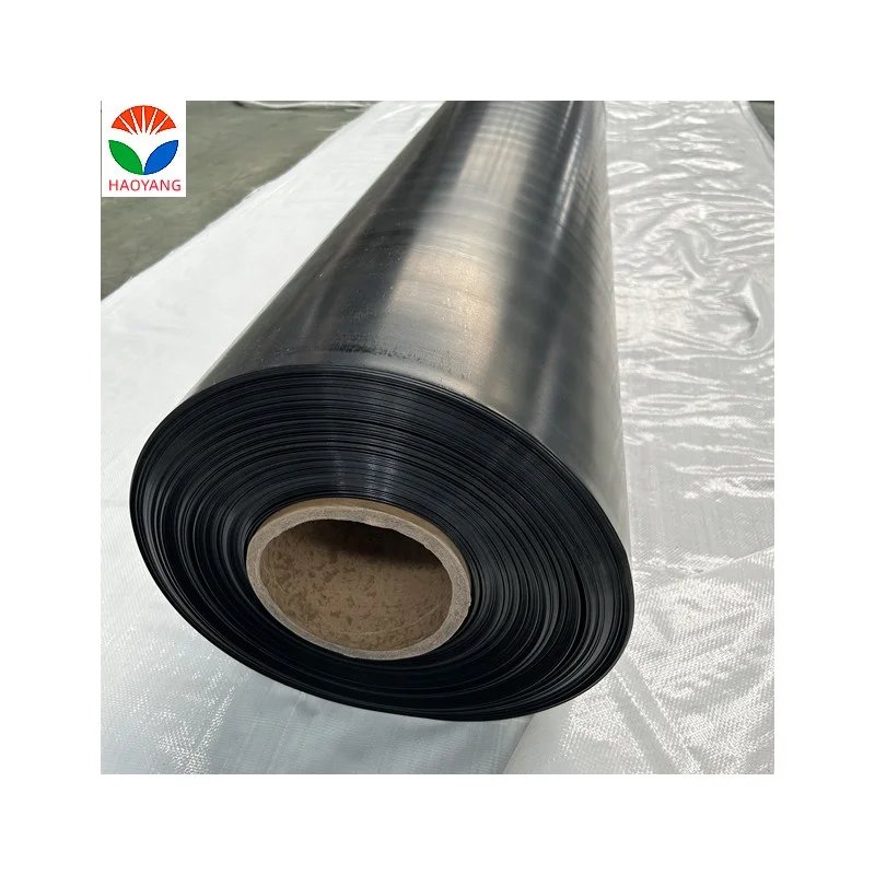 Пластик высокой плотности HDPE 0 5 мм 1 2 3 геомембраны для строительства рыбного пруда плотина озеро резервуар hdpe