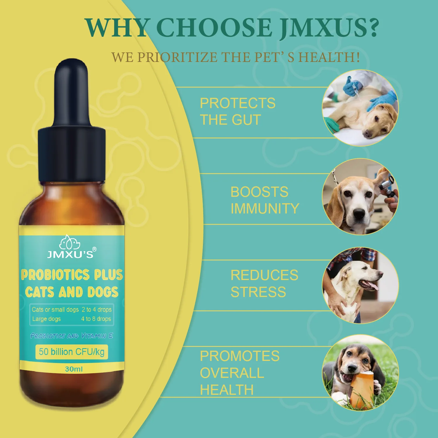Dog&Cat Probiotics and Digestive Enzymes, Probiotics Liquid for Pets, Probiotics for Pet Digestive Health, Wholesale Customized