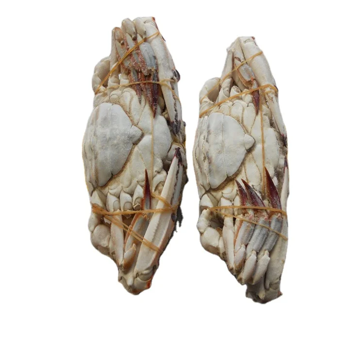factory direct fat cut ghost crab big size Frozen Crab raw material block in stock