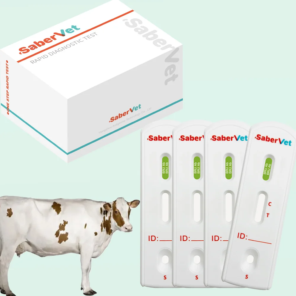 Veterinary tested kit BRU rapid test diagnostic Brucella Antibody Rapid Test for cow