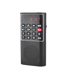 Dewant L-328 fm радио Диктофон SD/TF карты мини mp3 плеер со встроенным