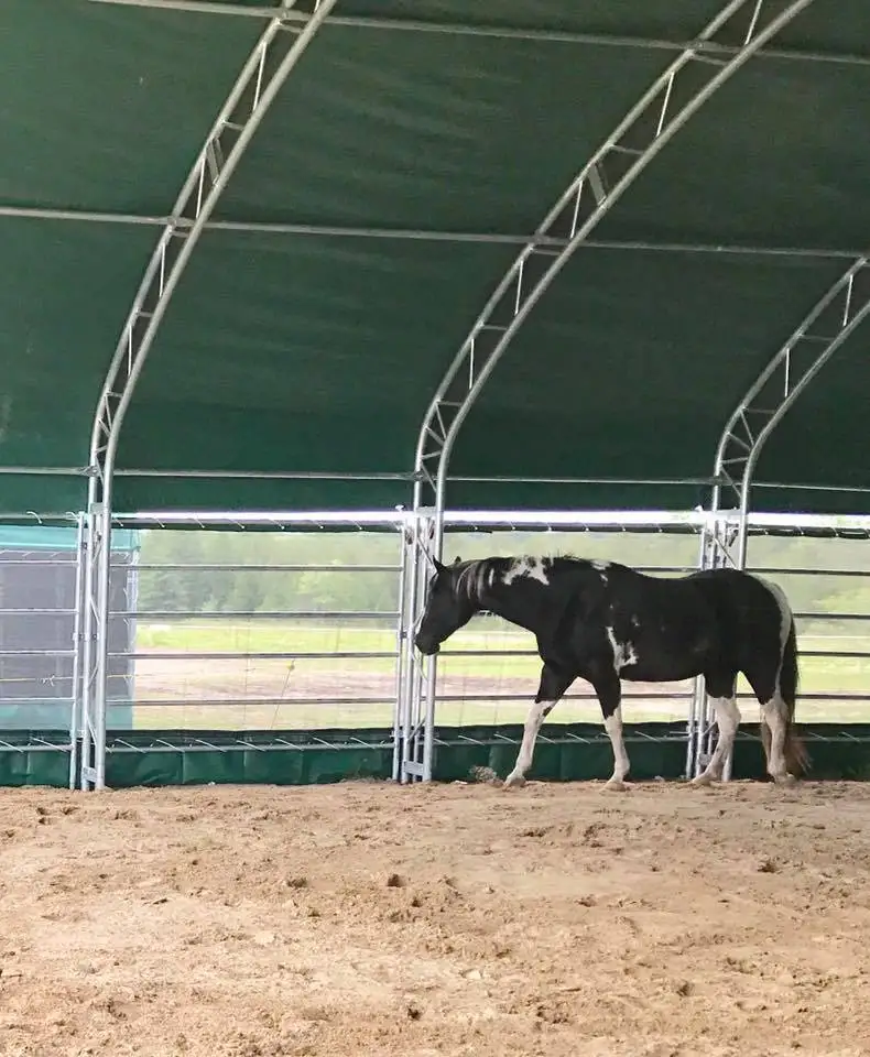 Xinli 10M Prefabricated Steel Structure Cowshed Dairy Cow Cattle Farm Shed Barns House design