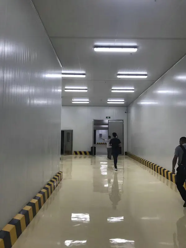 Pu Panel Fruit Chicken Meat Eggs Seafood Restaurant Supermarket Cold Room Manufacturer