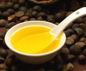 Оптовая продажа, натуральное чистое органическое масло для чайных семян, масло камелии для ухода за кожей