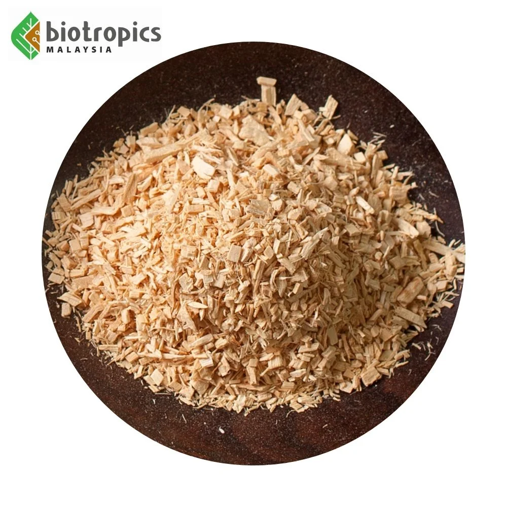 Premium Grade Tongkat Ali Ingredient PG5 Herb Root for Men Health Herbal Extract Ingredient