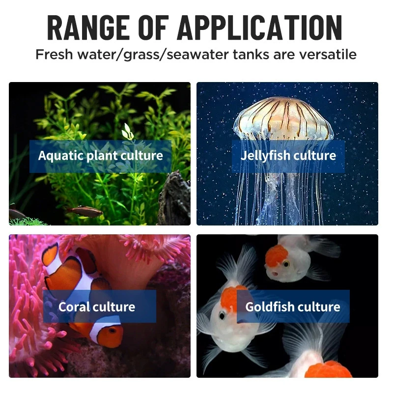 1HP Cooled Water Machine Club Supply Sports Recovery Filter Cold Plunge Remote Control Ice Bath Pool Water Chiller System