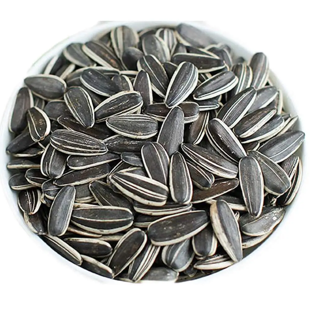 Bulk Inner Mongolia Raw Material Large Type 363/361 Organic Sunflower  Seeds Cheap Price