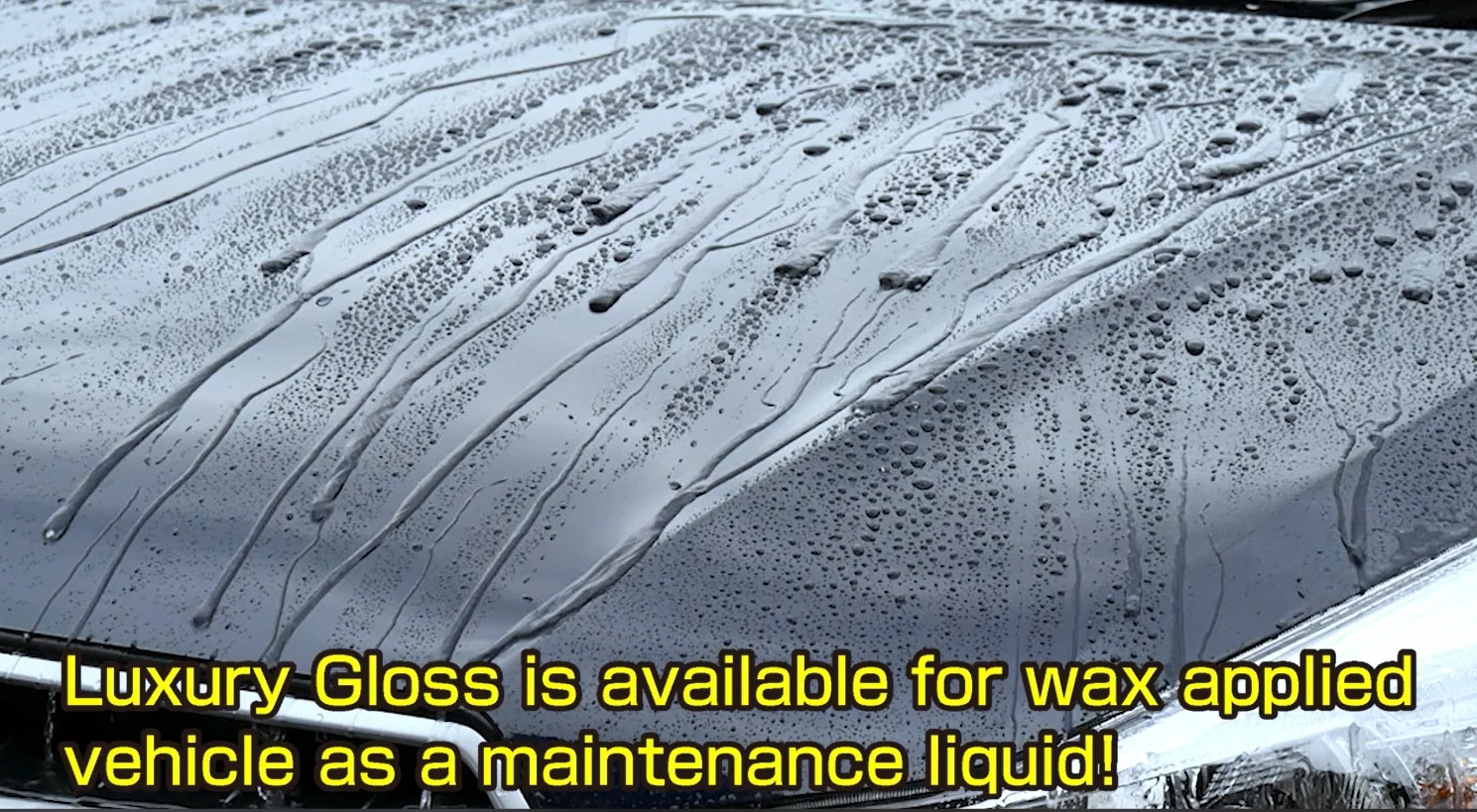 Luxury gloss 500ml paint protection wash car polish wax liquid