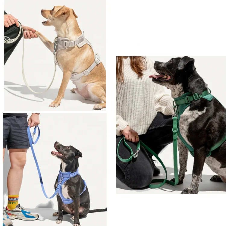 Custom Waterproof PVC Dog Harness Set Pet Poop Bag Holder Dispenser Dog Collar And Leash Four Pieces Set