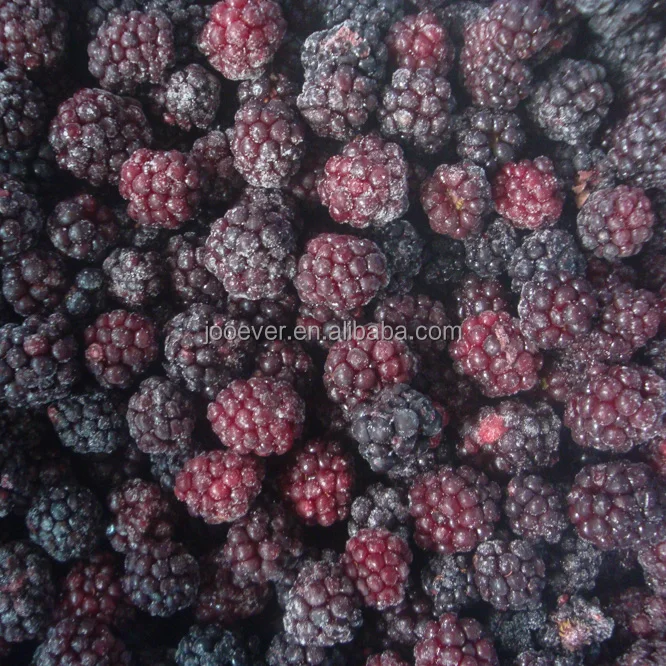 Good Taste IQF Frozen Blackberry in Bulk 100% Fruit Premium Quality