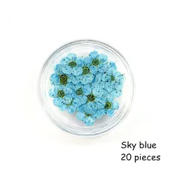 12pcs boxed Dried Flower Pressed Flower Epoxy Resin Handmade Material Plum Blossom Daffodil Phone Case DIY Nail Art Crafts