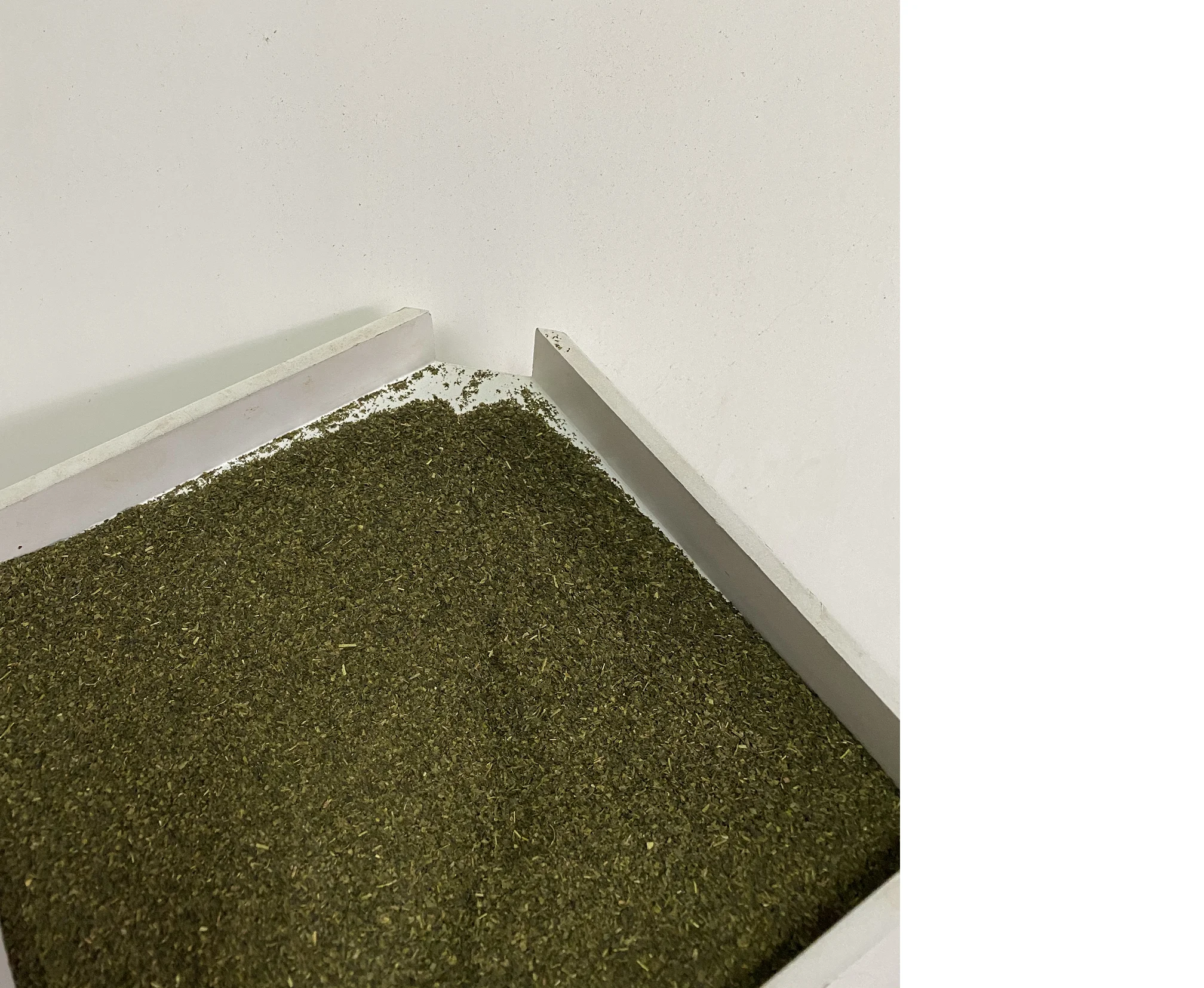 
China green tea organic green tea drink export 