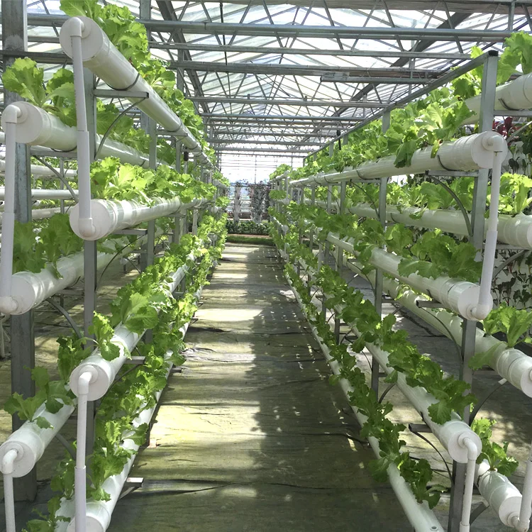 
Vertical DIY Hydroponic System Multi-layers NFT growing system Save water and eazy growing 