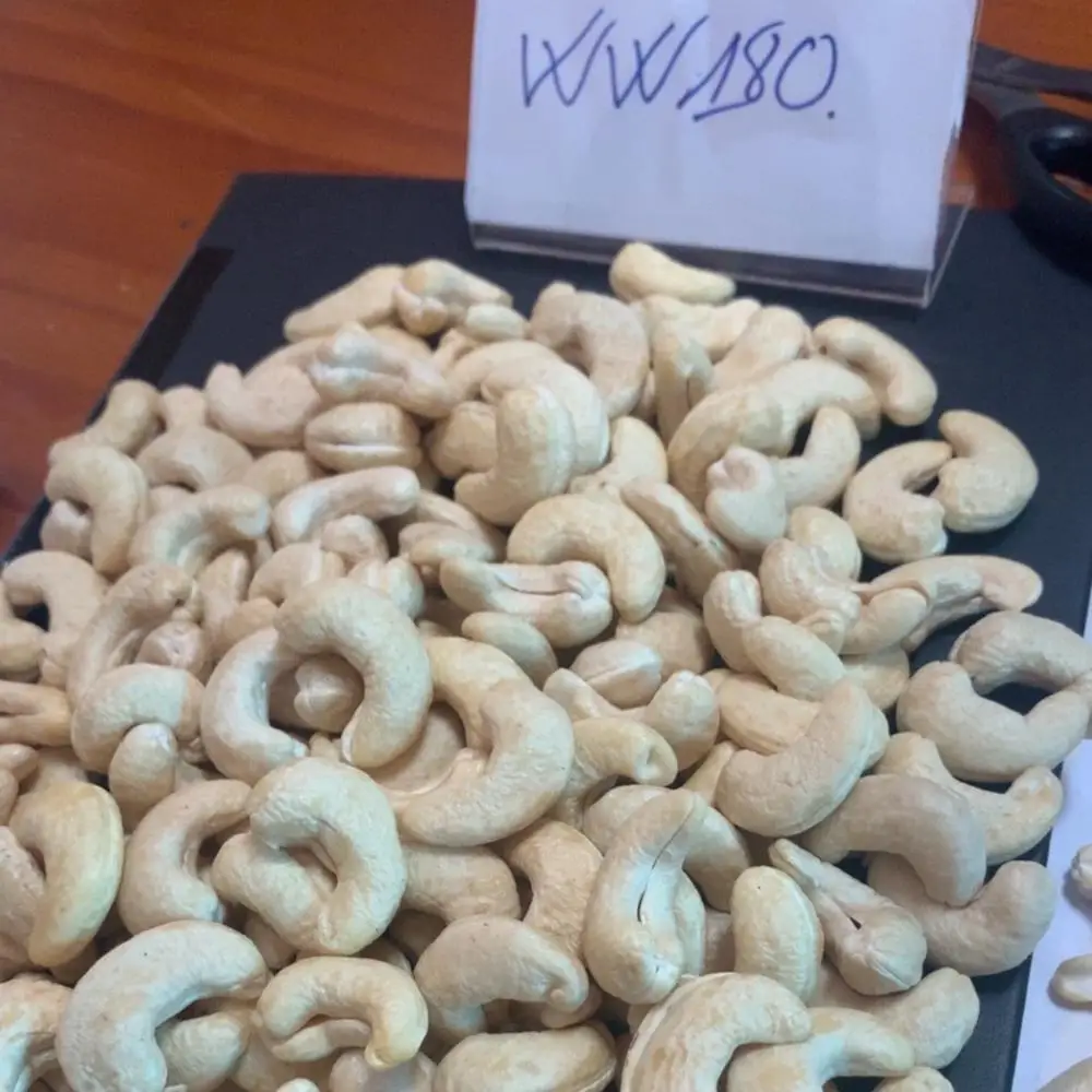 VIETNAM CASHEW KERNELS NUTS WW180 HIGH QUALITY FROM DIRECT SUPPLIER  DH-FOOD VIET NAM CO., LTD FACTORY FOR SALE, EXPORT