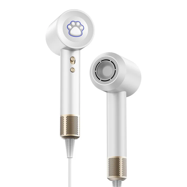 Custom Professional Salon Hair Dryer Lightweight Turbo BLDC Brushless Hair Blower Negative Ionic Brush Set Foldable Travel