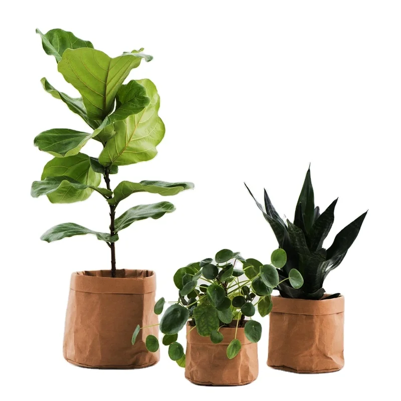 Green Field Eco friendly Washable Kraft Paper Planter Vegetable Plain Kraft Paper Bags artificial orchid flower potted