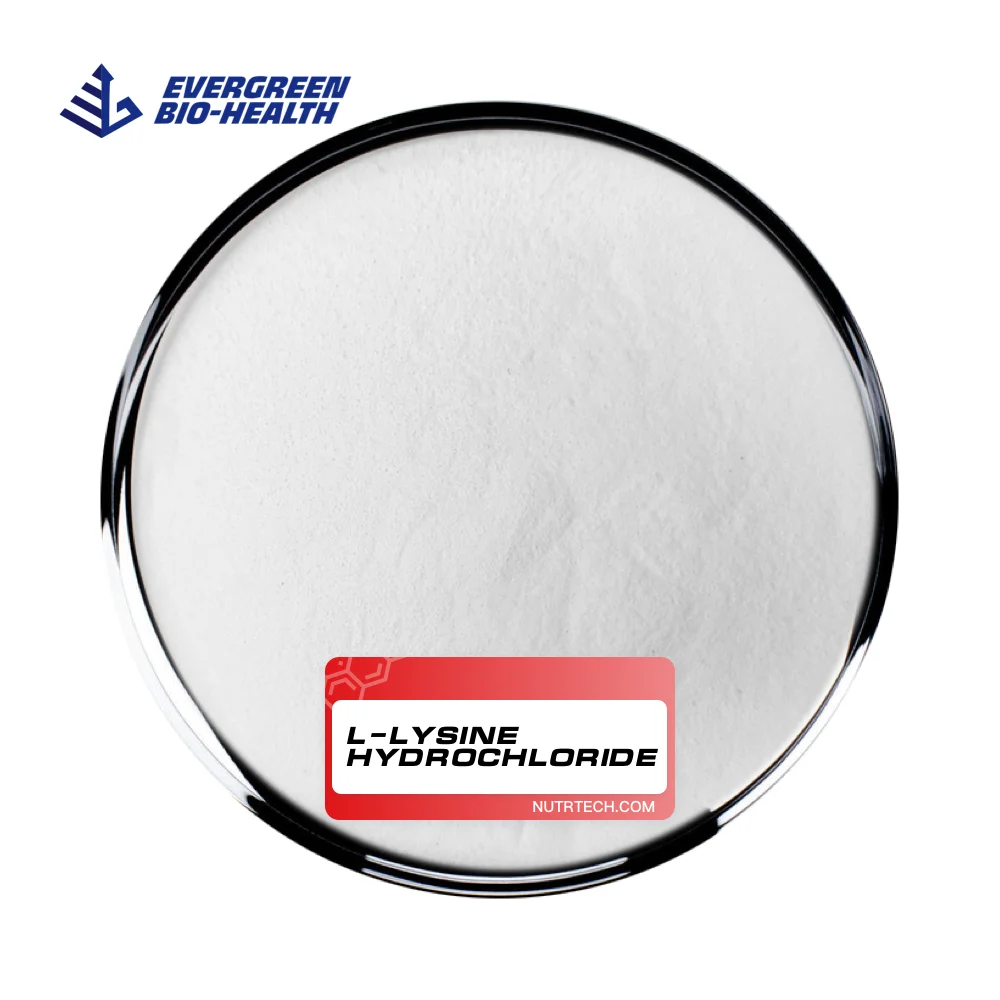 Lysine For Poultry High Purity Powder Lisina Clorhidrato L-Lysine Hydrochloride With Factory Price