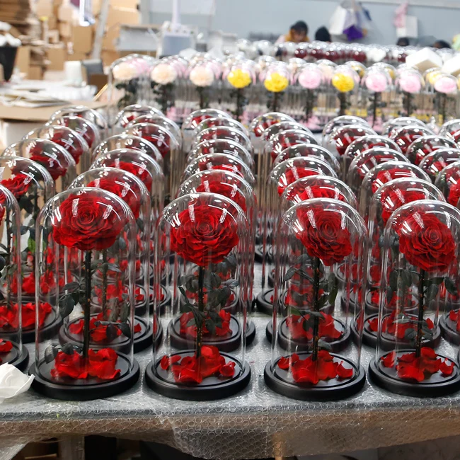 Preserved Rose Blue Valentines Day Gifts Real Rose in Glass Dome Roses for Her Birthday Gifts immortal flowers