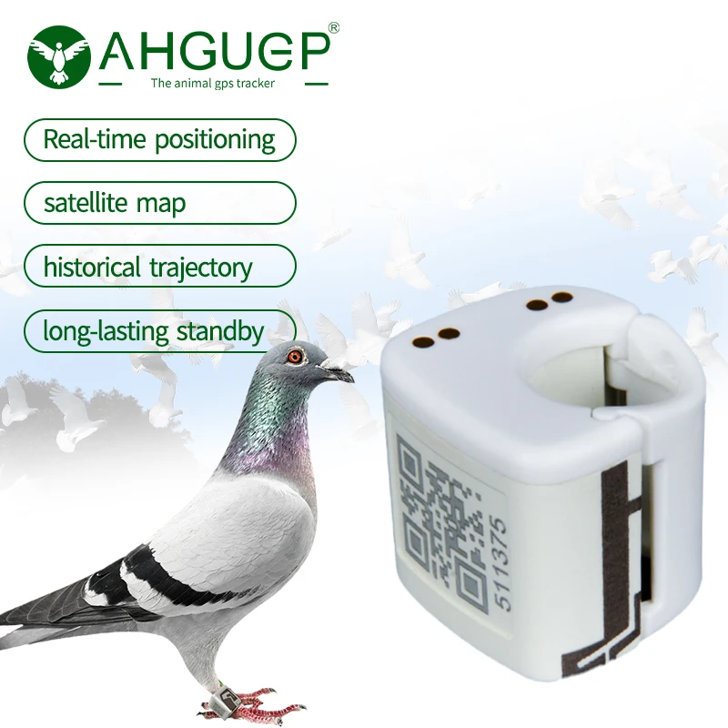 AHGUEP Waterproof GPS Tracker for Pigeons Birds 4G Network & LBS WiFi Positioning Compatible iOS Android Apps GSM GPRS Tracking