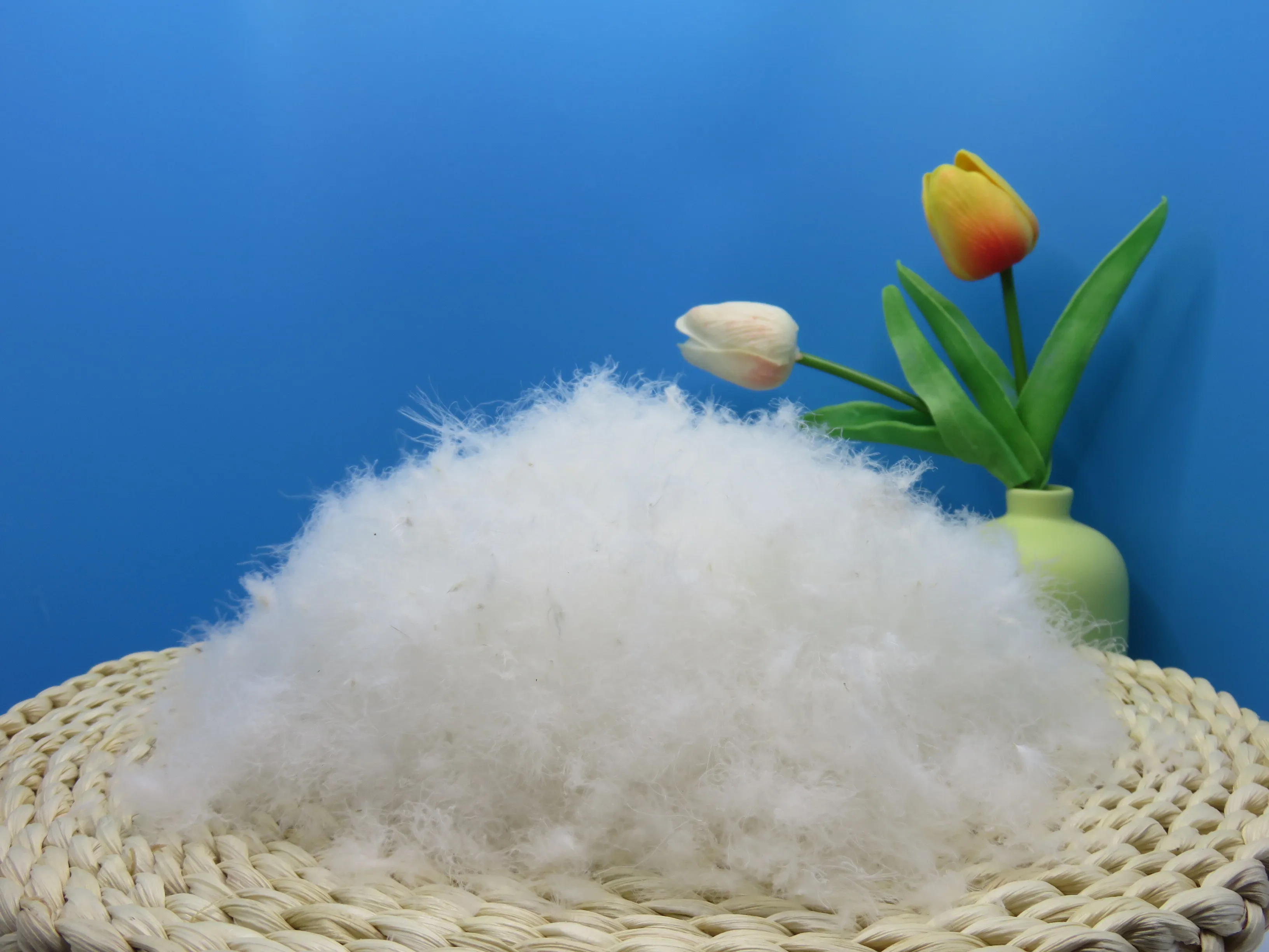 70% White Duck down Feathers Natural and Washed Product