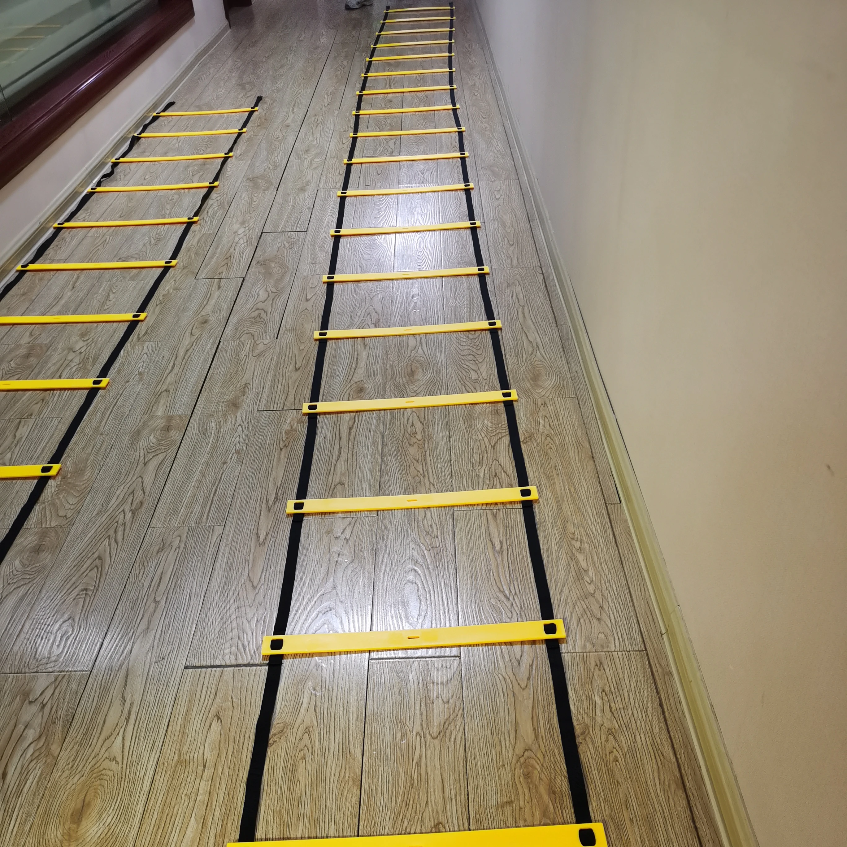 Ningbo plastic 6/8/10/12 Rung 4/5/6/8M Agility speed training Ladder for Soccer Training FD694A