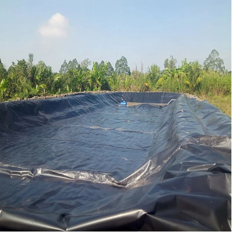 Eco-friendly 100% Vigrin HDPE  Waterproof UV resistance Smooth Rough Textured Geomembrane For Fish Pond Landfill Dam