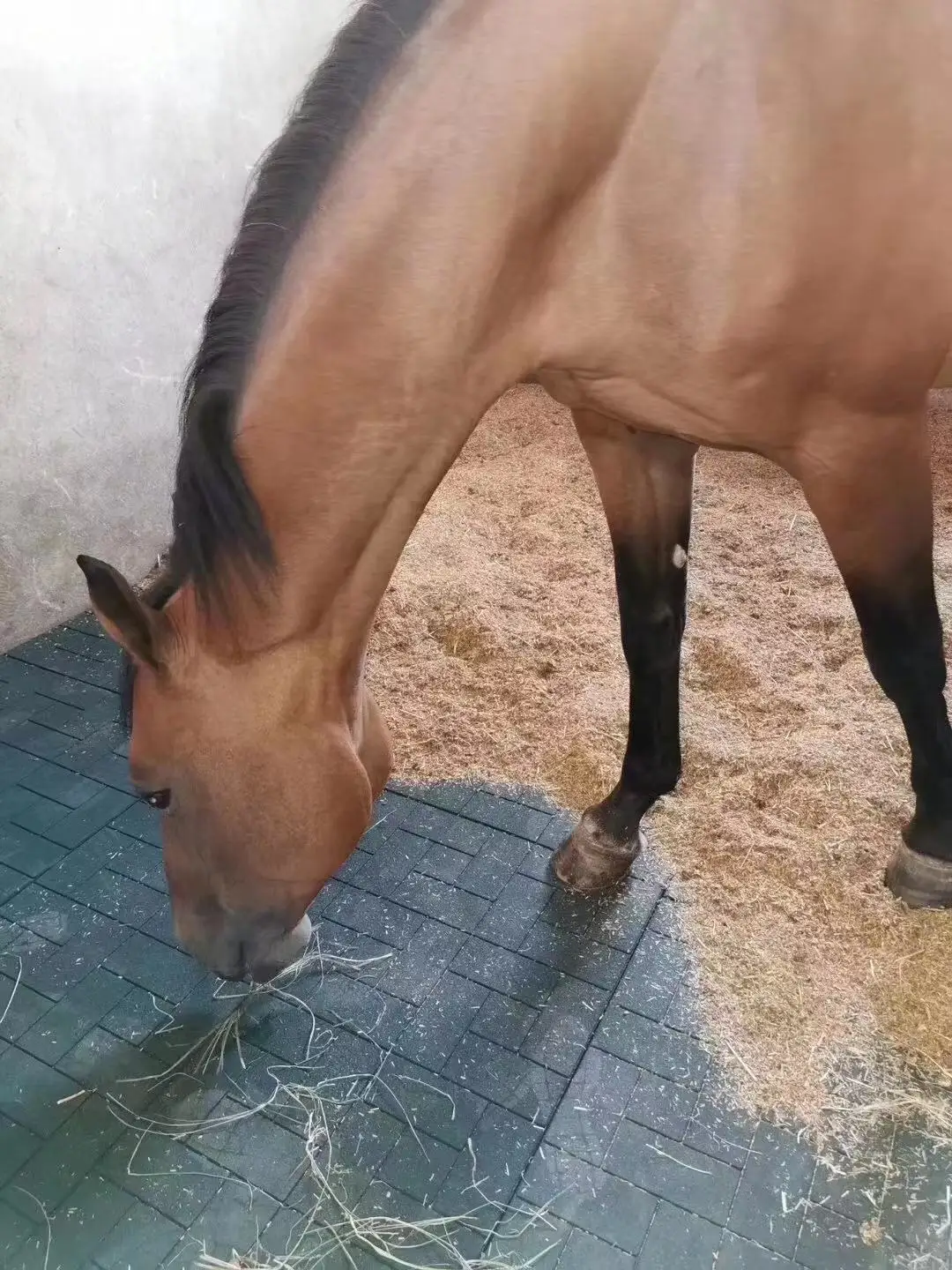 Horse Stall Mats for Sale/ Rubber Pavers Horse Barns /Animal Rubber Mat