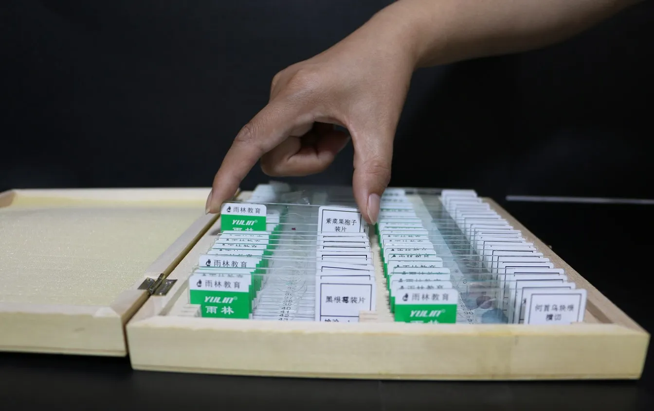 Student Microscope Specimen Collection Mixed Prepared Slides from Factory 100 Pcs Set Wooden Box