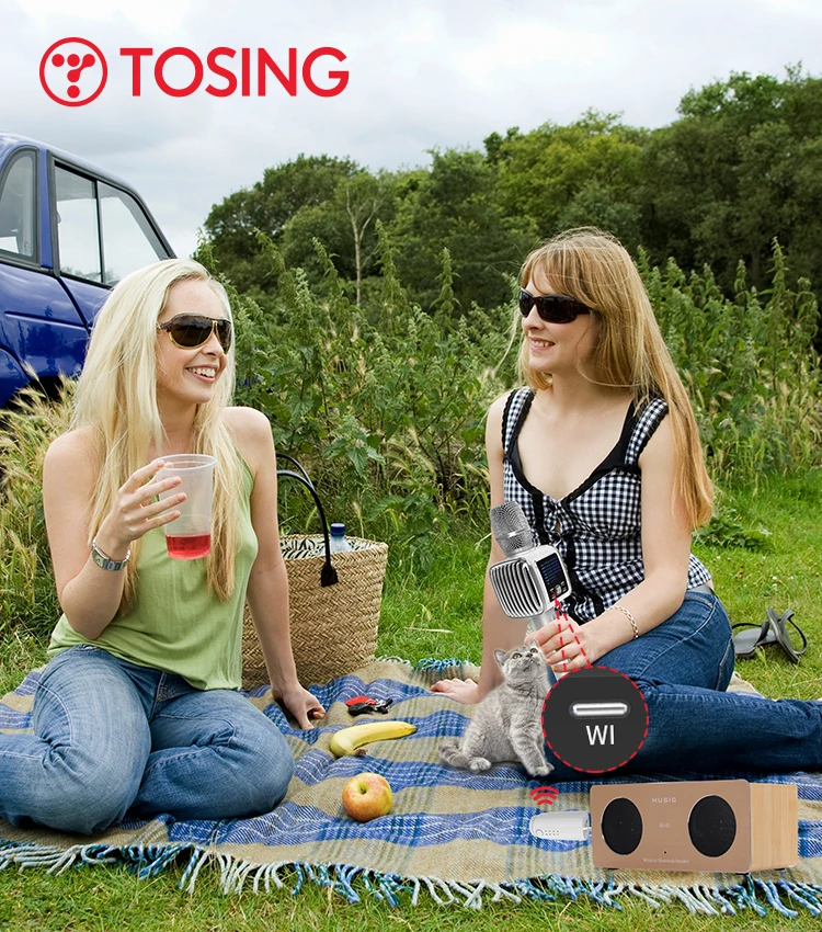 New Arrival HIFI  Tosing G6 PRO Bluetooth Handheld Karaoke Microphone Speaker  for for Kids Adults Singing support TWS