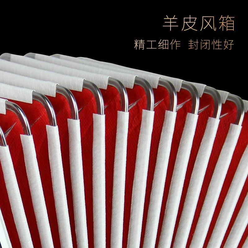 Parrot C system 22 keys 8BS beginner instrument factory direct YINGWU accordion