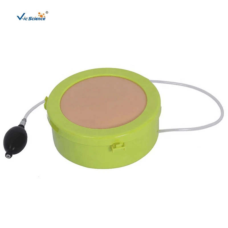 abdominal cutting and suturing simulator teaching model nursing school study guide medical science education model