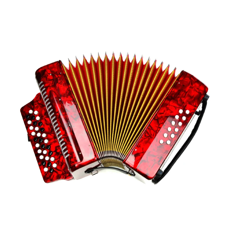 Wholesale Professional Keyboard Instrument 31 Keys 12 Basses Diatonic Bayan Button Accordion For Sale