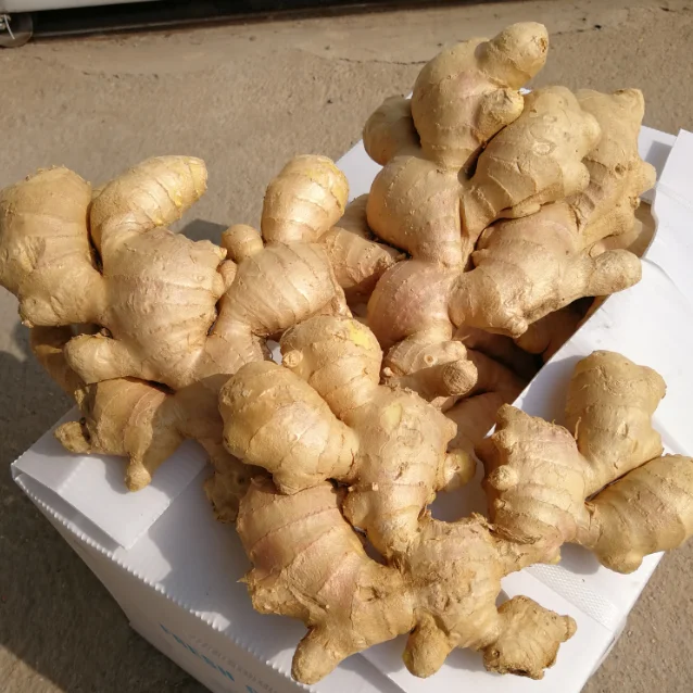 BRC, GAP & SEDEX Certificated Fresh Ginger