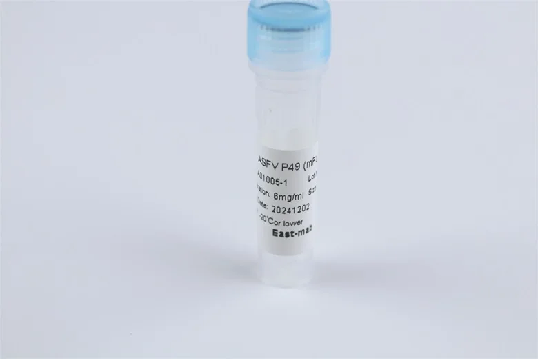 Promotional Specials Applied To Biological Expression Powder DENV2 NS1