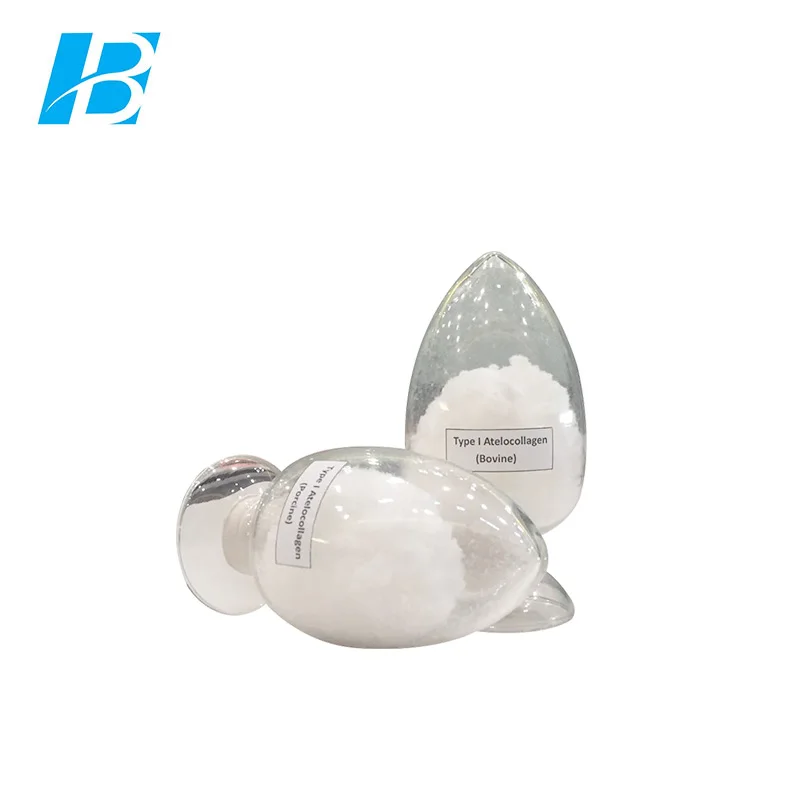 Type 1 Medical Grade Collagen Powder