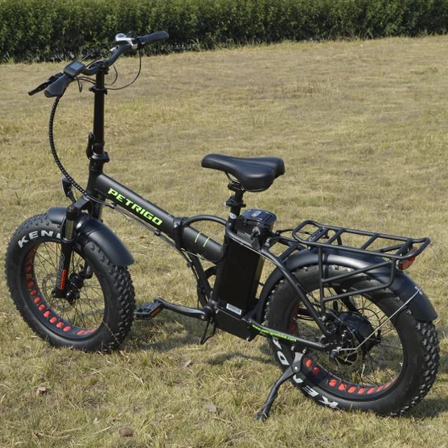 Customized Foldable Electric Fat Bike Light Weight City E bikes Fat tire Electric Bicycle