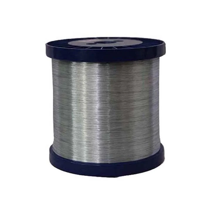 0.25 mm Mesh Electro Galvanized Iron Wire