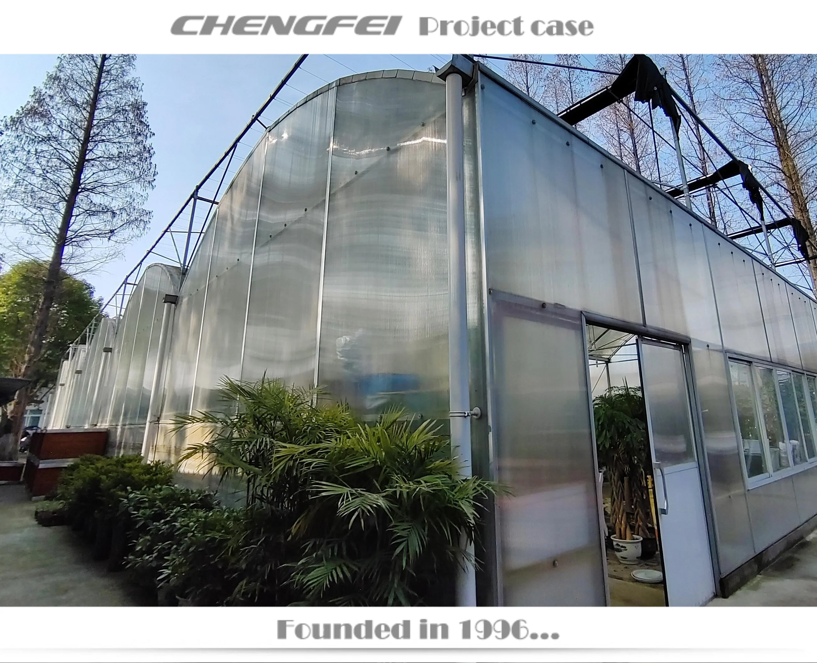 Multi-span invernadero low cost rain shelter polycarbonate agricultural greenhouse supplier for sale