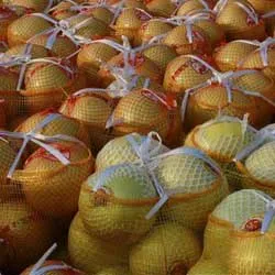 Fresh pomelo new harvest delicious fruits grapefruit for export from China good quality pomelo